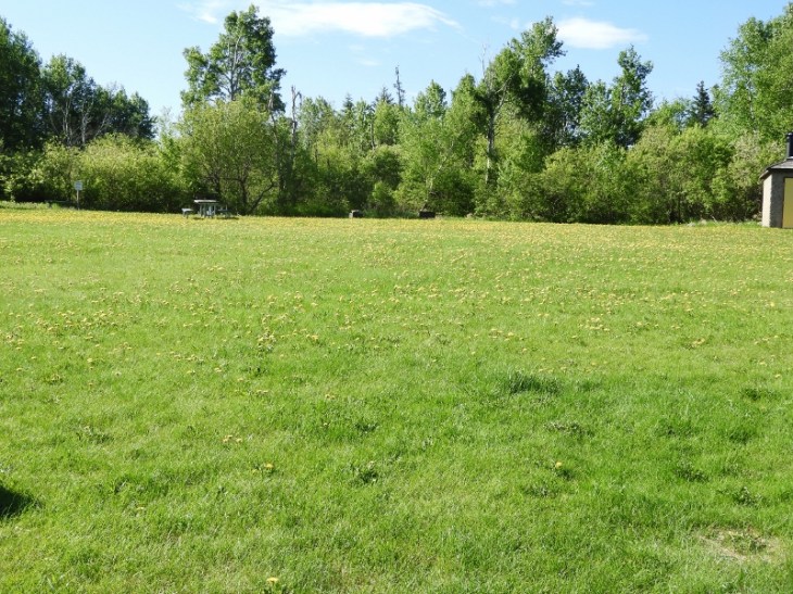 DSCN1337 (800x600) (2)