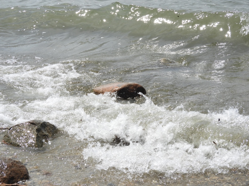 June Trip to Riding Mountain National Park – part&nbsp;3