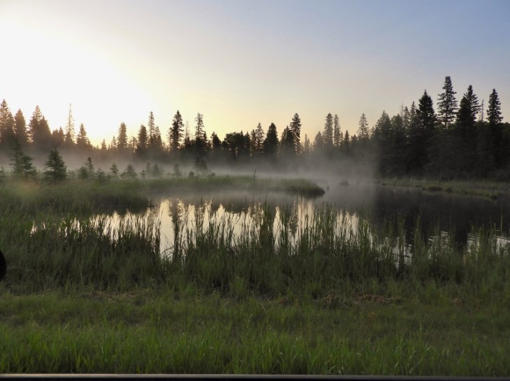 DSCN1571 (800x598) (2)