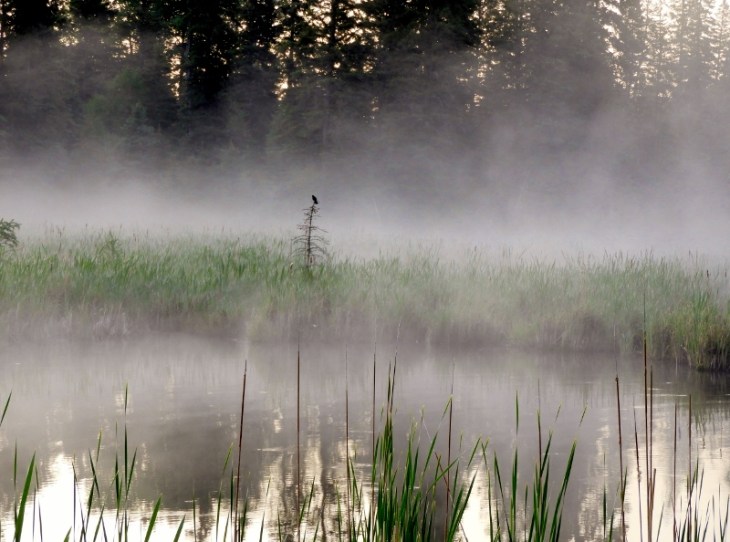 DSCN1572 (800x594) (2)