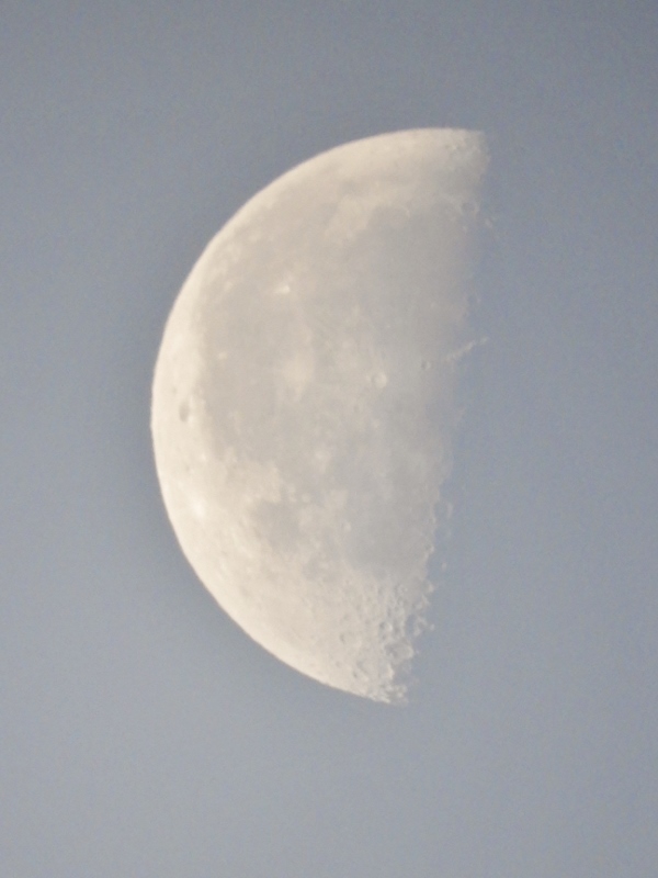 DSCN1575 (600x800) (2)