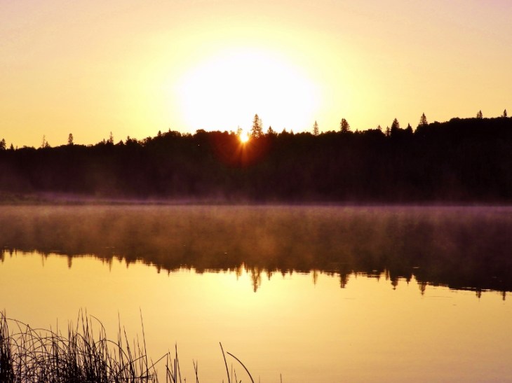 DSCN1597 (800x600) (3)