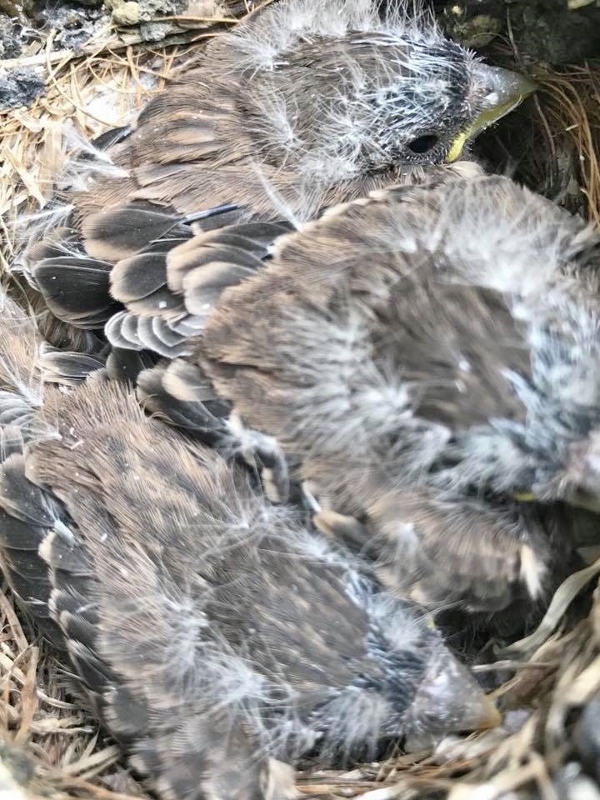 June 20 - 1 (600x800)