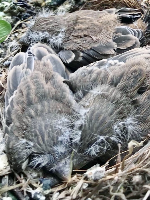 June 22 - 2 (600x800)