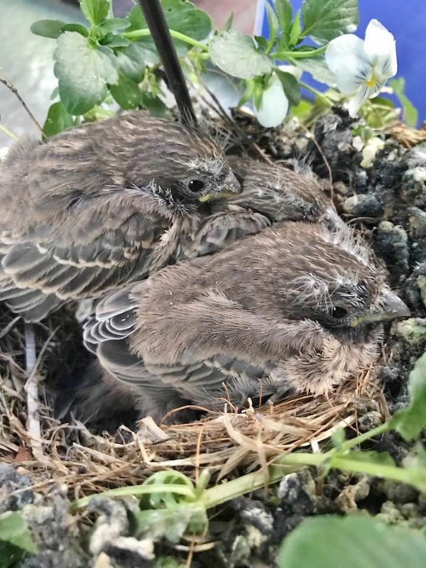 June 23 - 2 (600x800)