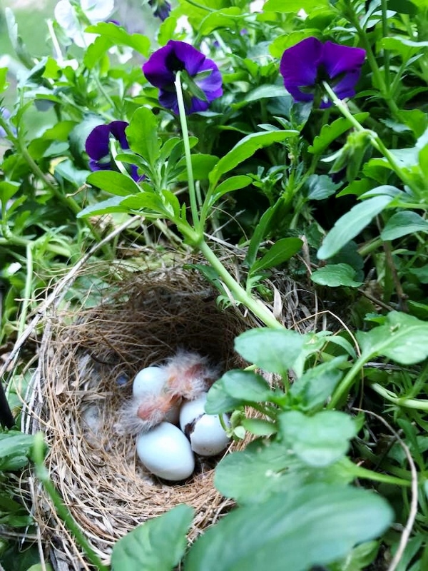 June 8 - 1 (600x800)