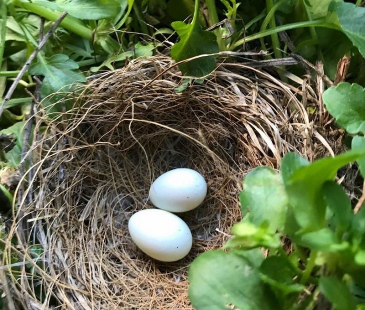 May 25 - 2 (800x680)