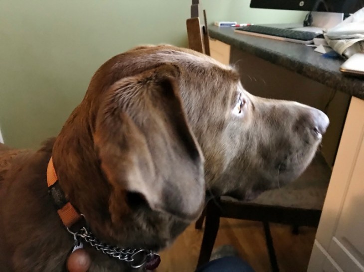 IMG_1231 (800x600) (2)