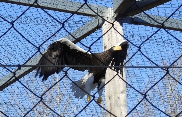 DSCN1747 (800x518) (2)