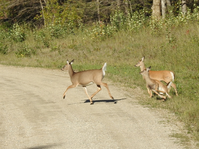 Winnipeg to Vancouver – day 1, part&nbsp;1