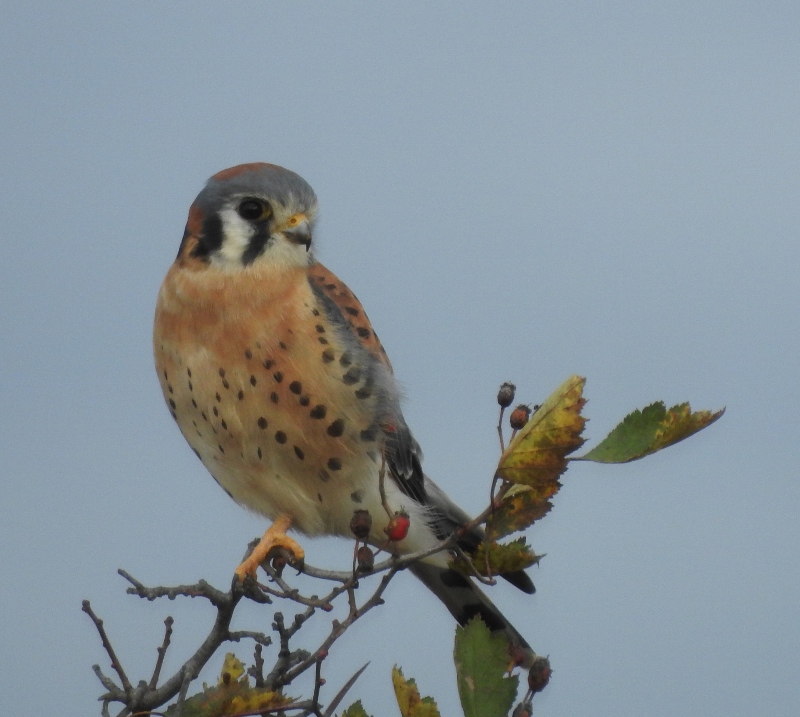 Winnipeg to Vancouver – Day&nbsp;2