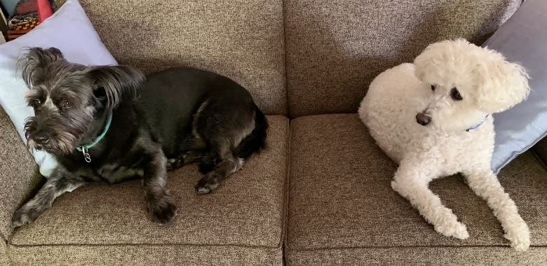 It is Time for Macy &&nbsp;Teddy