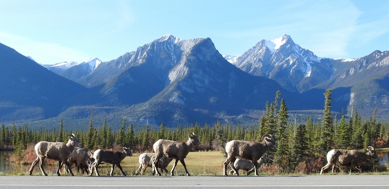 Winnipeg to Vancouver – Heading for Home – Day 1 &&nbsp;2