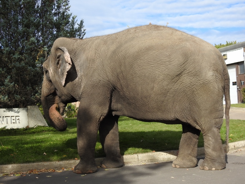 Winnipeg to Vancouver – Heading Home, day 3 &&nbsp;4