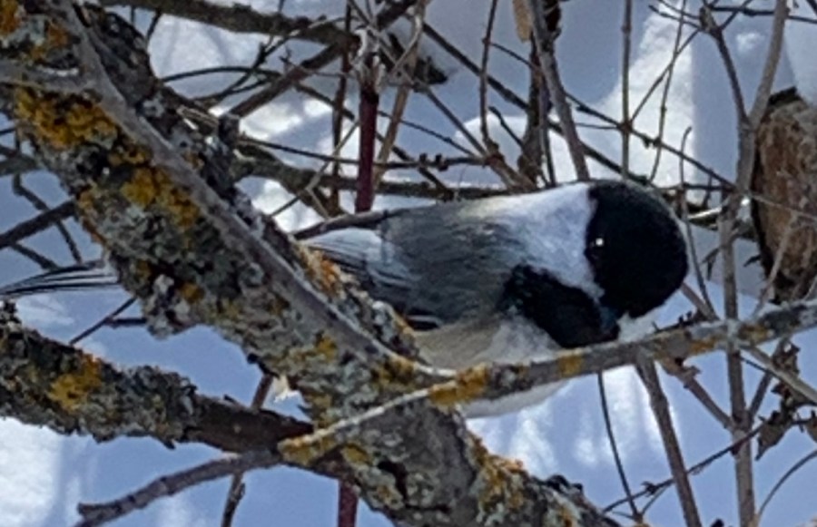 To Birds Hill Provincial Park for a&nbsp;Stroll