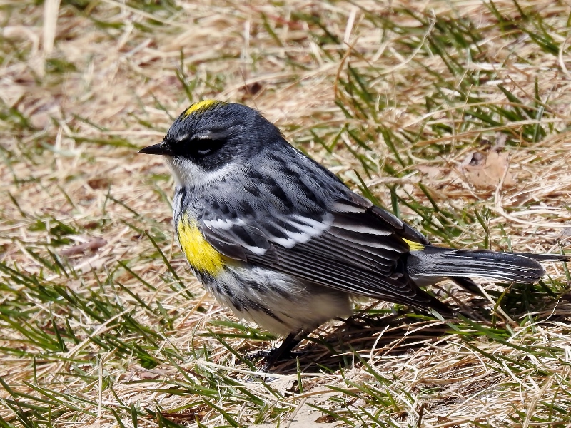 An Afternoon Walk in the&nbsp;Park