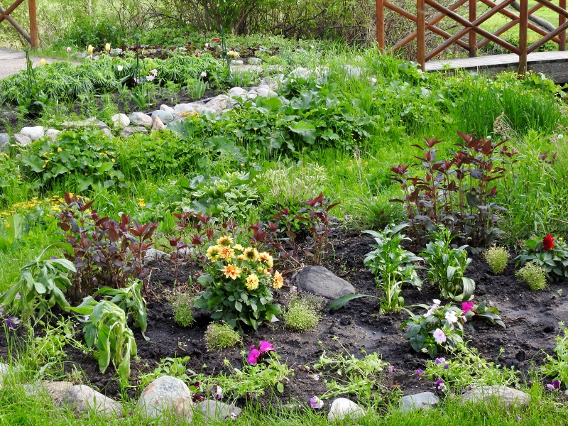 Riding Mountain National Park – June 9,&nbsp;continued