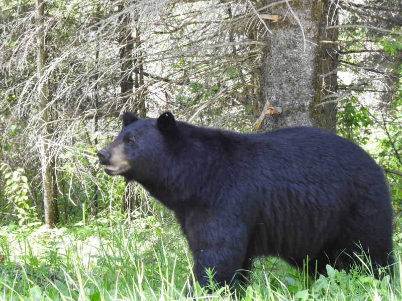 Riding Mountain National Park – day 3, part&nbsp;2