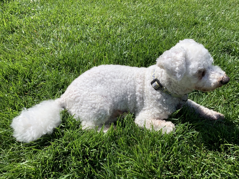 It is Coconut&nbsp;Time