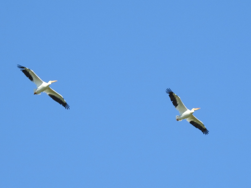 What – Another&nbsp;Move???