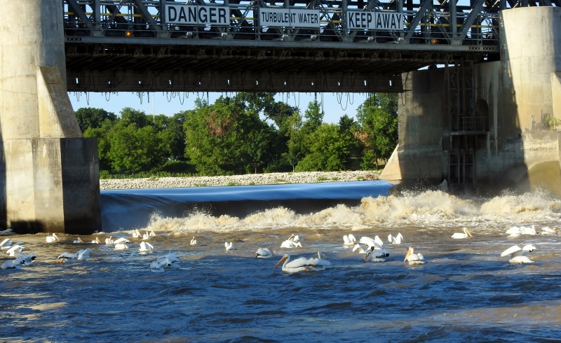 Taking a Break from&nbsp;Packing