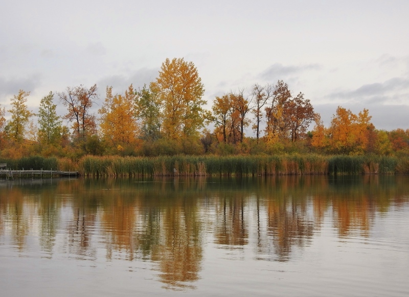 More on my&nbsp;Vehicle