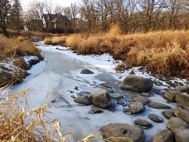 A Return Visit to Bunn’s Creek&nbsp;Trail