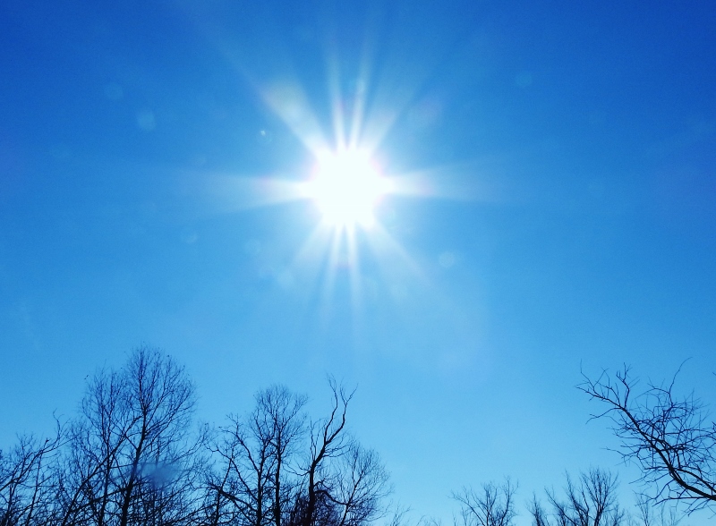 Fort Whyte Alive on a Beautiful Sunny&nbsp;Day