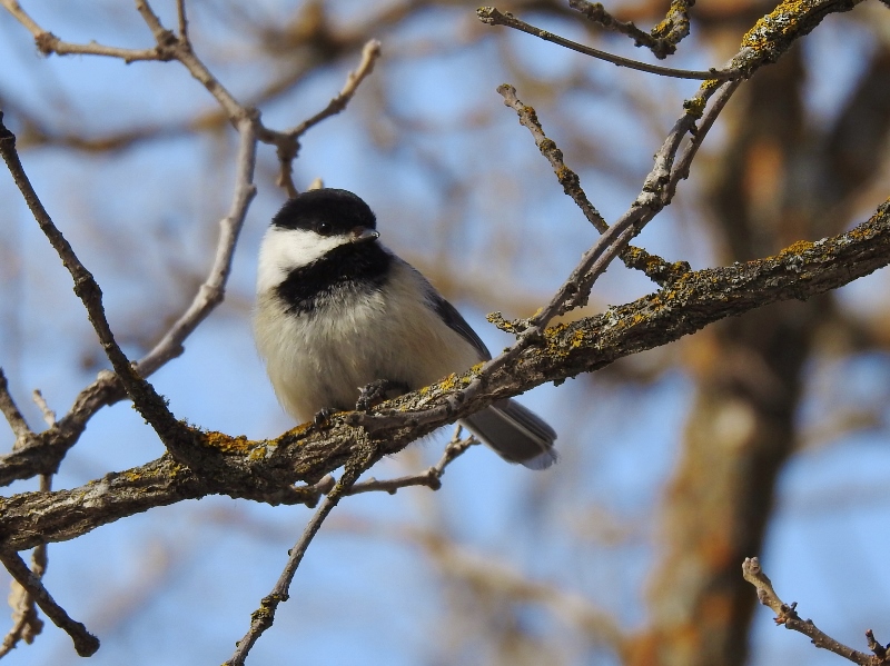 Last Stop Today – Bird’s Hill Provincial&nbsp;Park