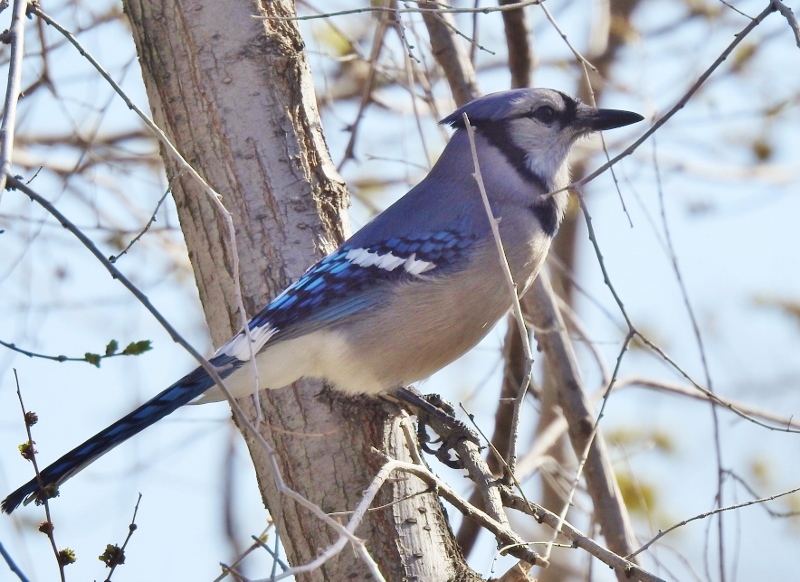 Hanging around the&nbsp;Apartment