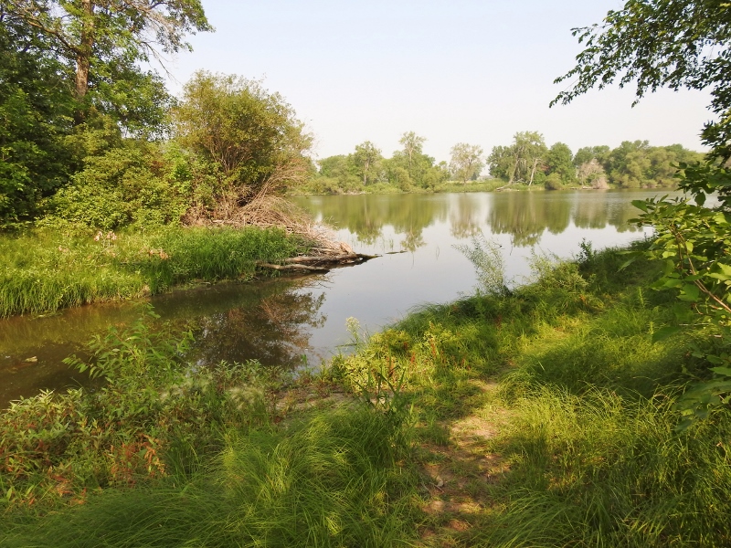 My Walk Along Bunn’s&nbsp;Creek