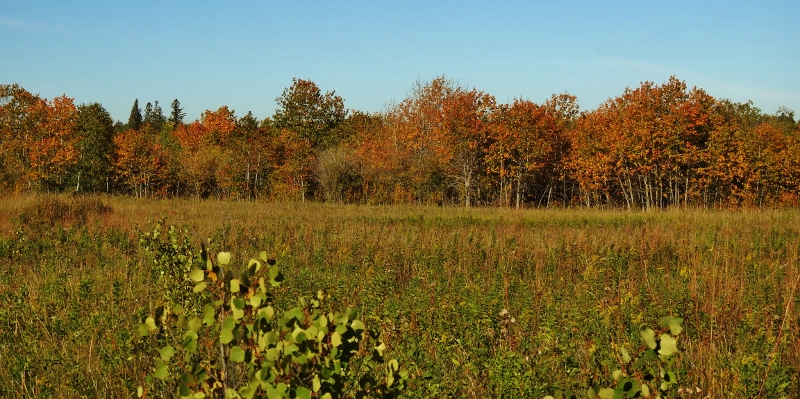 Prairie Winds Trail followed by Pine Ridge&nbsp;Hollow