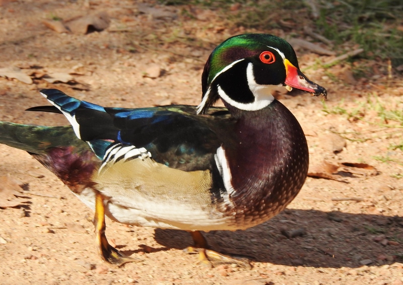 Last Stop on the Way&nbsp;Home