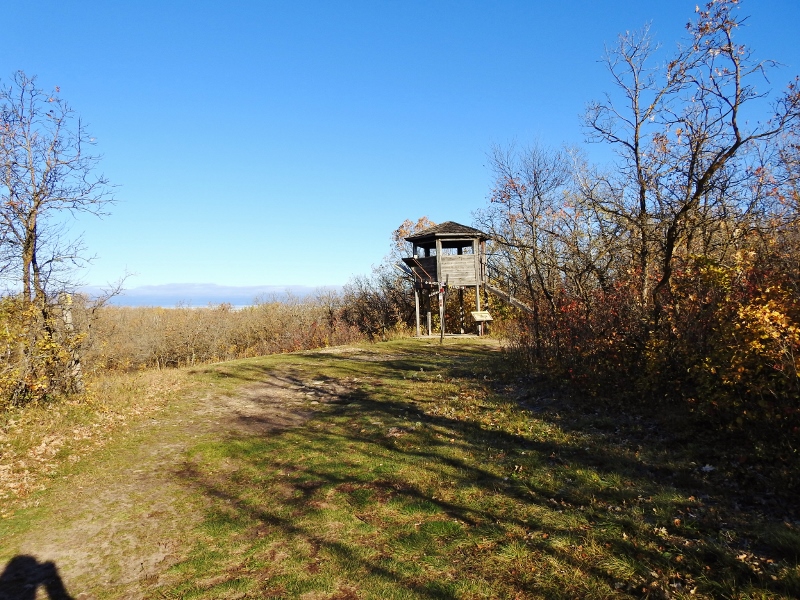 Chickadee Trail at Birds Hill Provincial&nbsp;Park