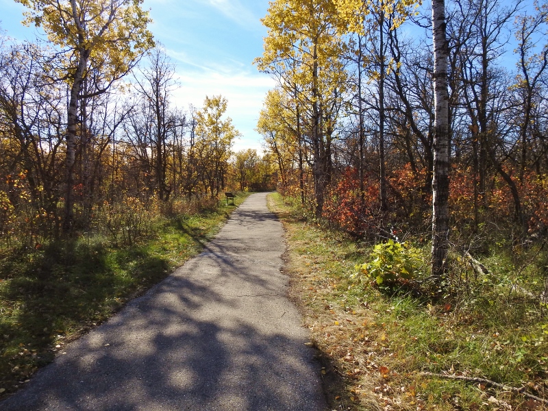 Lakeview Trail and Bur Oak Trail at Birds Hill Provincial&nbsp;Park