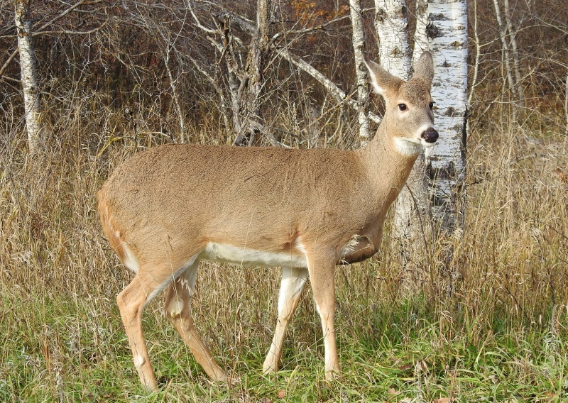 Taking Advantage of an Unusually Mild November&nbsp;Day