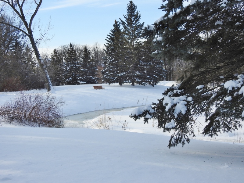 Return to Bunn’s&nbsp;Creek