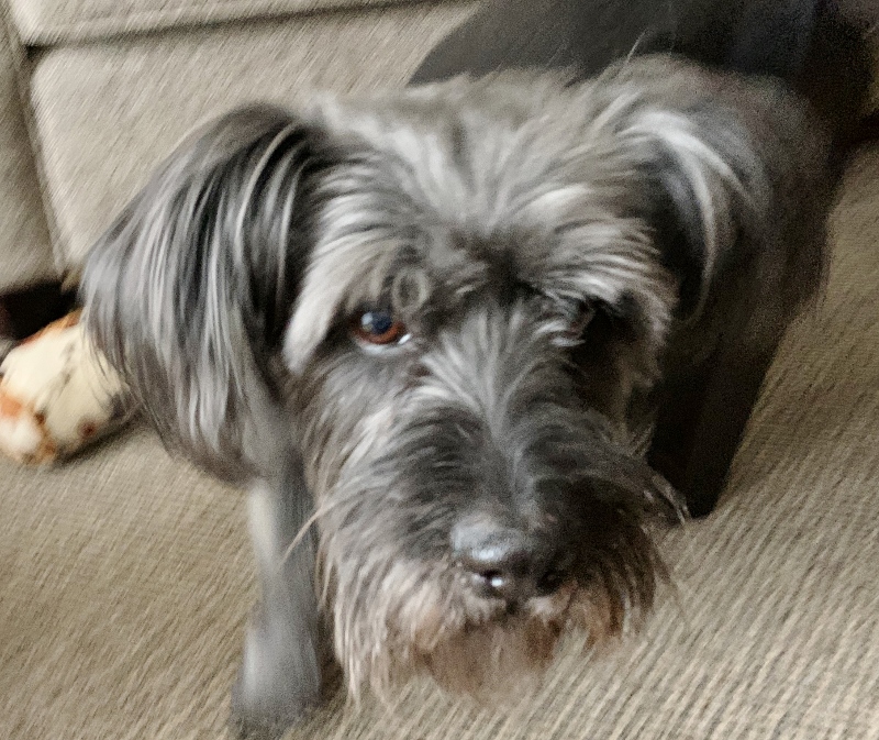 It’s Time for Macy and&nbsp;Teddy