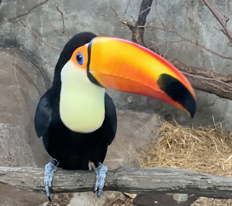 A Couple of&nbsp;Days