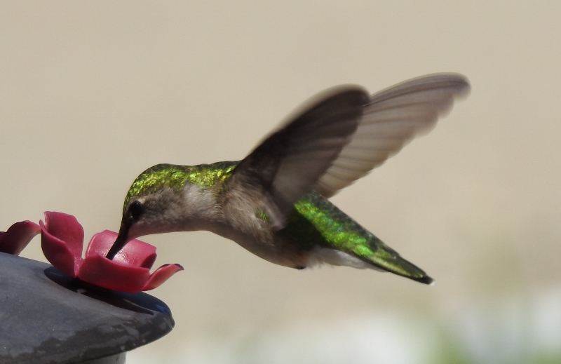 Honeycomb Bed & Breakfast&nbsp;2022