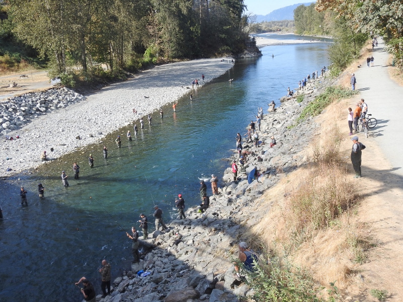Beautiful Day for a&nbsp;Walk