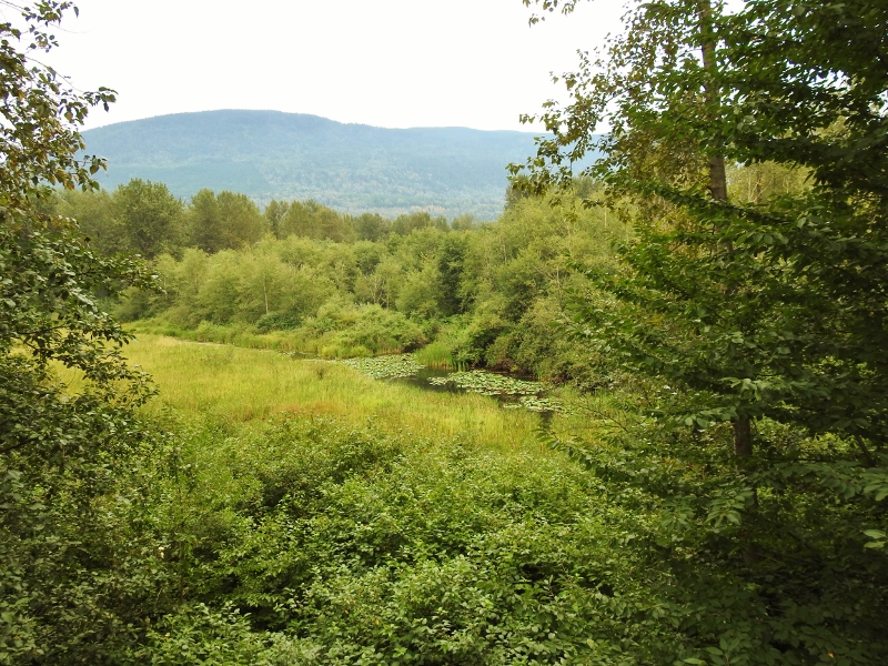 Return to the Great Blue Heron Nature&nbsp;Reserve