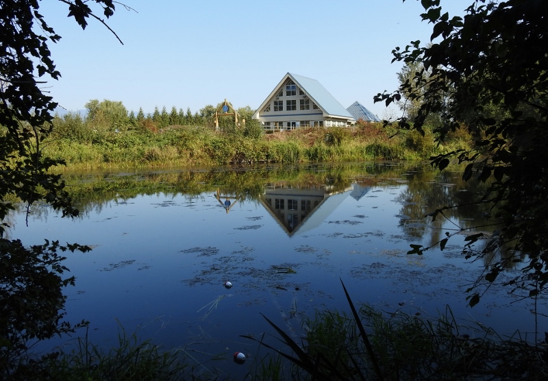 Back at the Great Blue Heron Nature&nbsp;Reserve