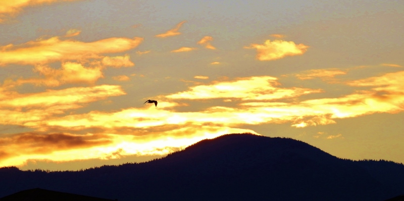 From Cloudy & Smoky to Clear &&nbsp;Cool