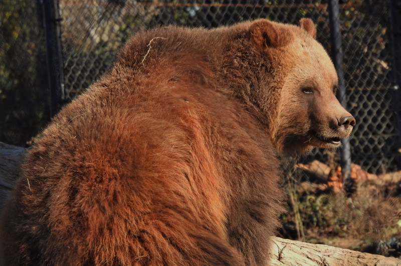 A Beautiful Day for a Walk in the&nbsp;Zoo