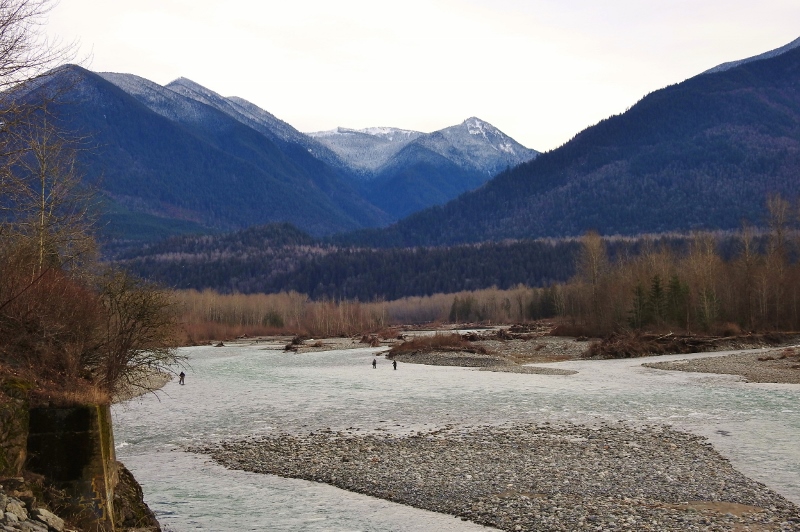 The Vedder River Trail for the Rest of my&nbsp;Walk