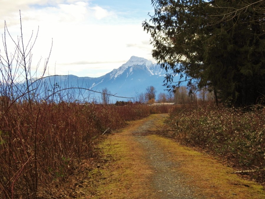 Back to Fairfield&nbsp;Island