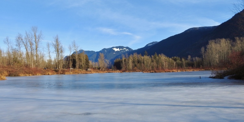 Sunny Morning at Chem Lake&nbsp;Wetlands