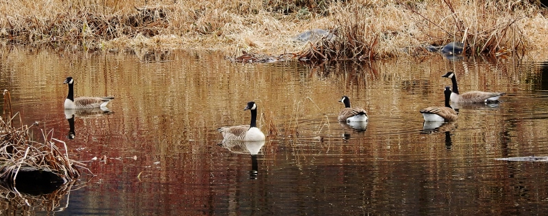 Views on a Sunny Day – part&nbsp;1