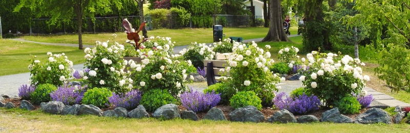 Finally – A Baby&nbsp;Heron!